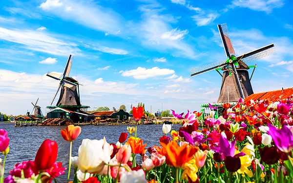 WHAT IS UNIQUE ABOUT THE NETHERLANDS visual data 3